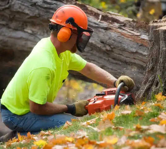 tree services Garrett Park